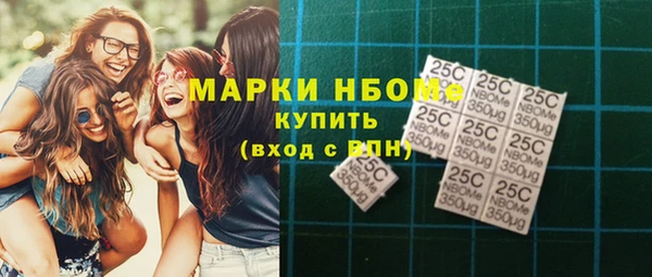 шишки Осташков