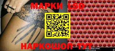 МДПВ Кингисепп