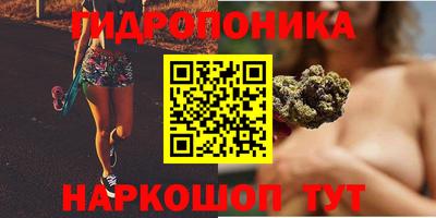 бошки Кимры