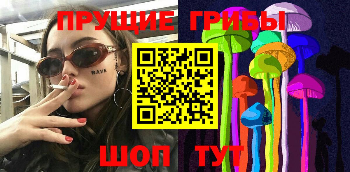 Сорочинск  Псилоцибиновые грибы MAGIC MUSHROOMS  Вход с VPN 