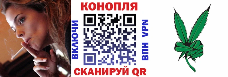 Бошки марихуана план  Сорочинск 